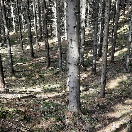 펜션 Pientalo Tukikohtana Laehellae Joensuuta *