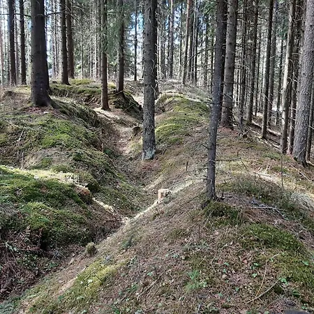 Pientalo Tukikohtana Laehellae Joensuuta Kulho
