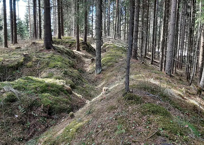 Pientalo Tukikohtana Laehellae Joensuuta Kulho