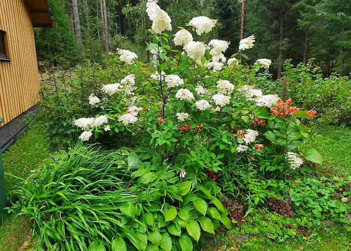 Pientalo Tukikohtana Laehellae Joensuuta * Kulho